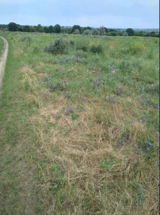 Продам дачный участок 12 соток в с.Сурско-Литовское