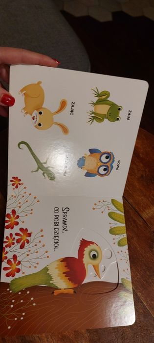 Książeczka ruchoma