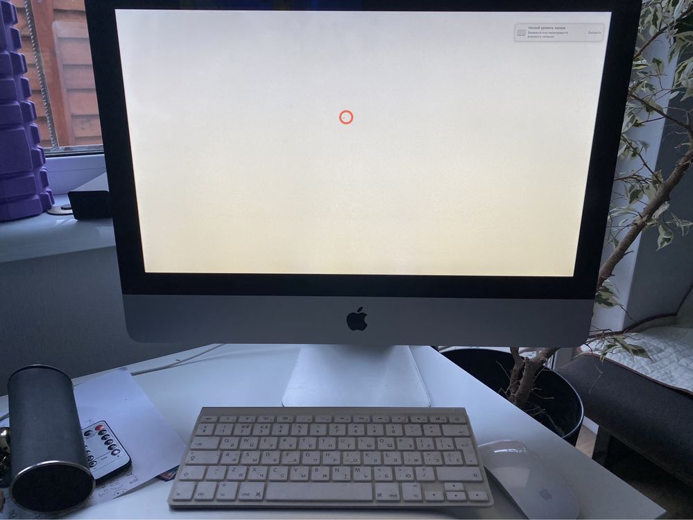 Imac 21.5 (late 2009)