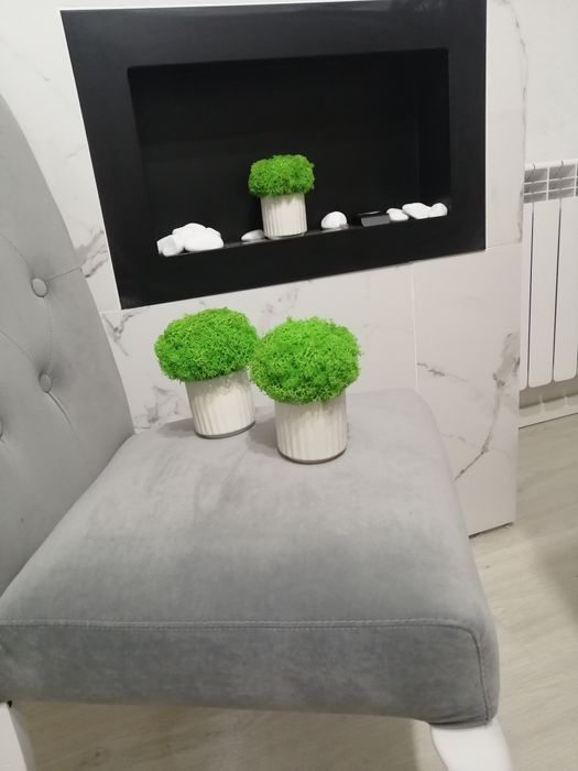 Doniczki 3  z mchem chrobotkiem