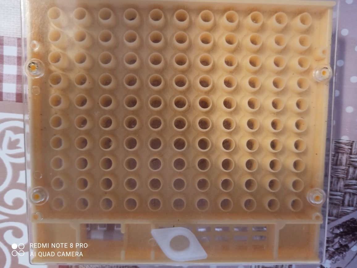 Система стандарта Никот/ Nicot на 110 ячеек для вывода пчелиных маток
