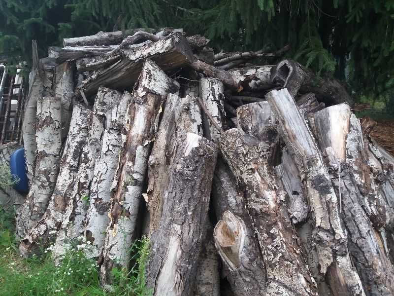 drewno suche do pieca lub kominka - topola - 10 mp - po 125 zł / mp