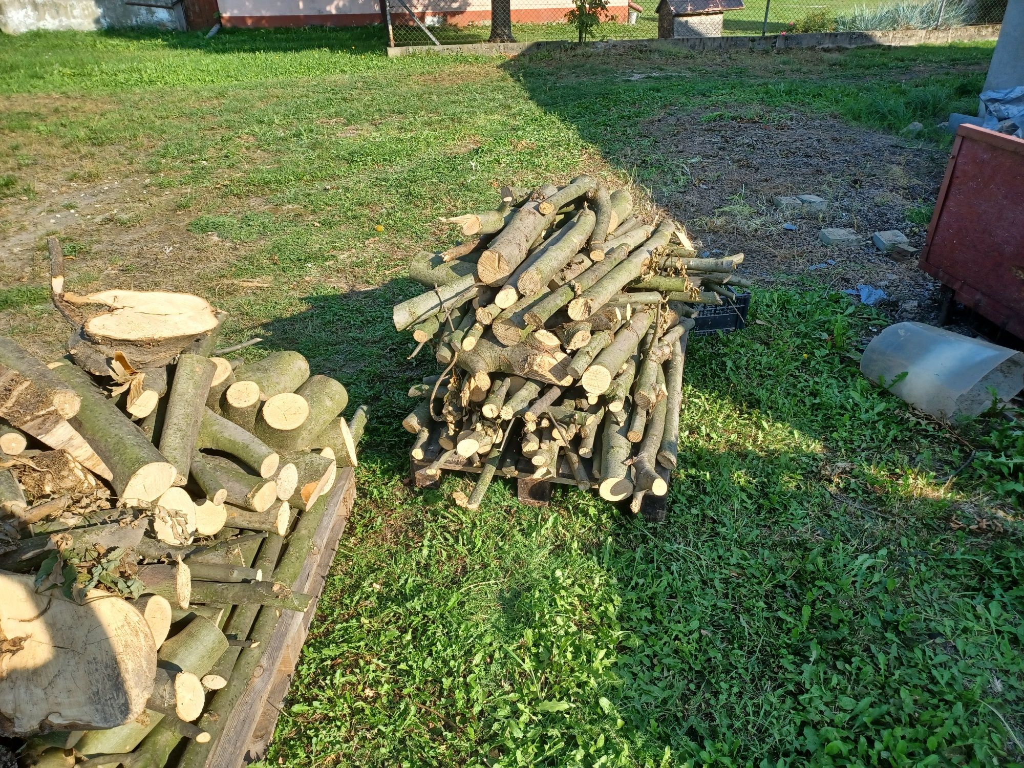 Drzewo opałowę pocięte na klocki