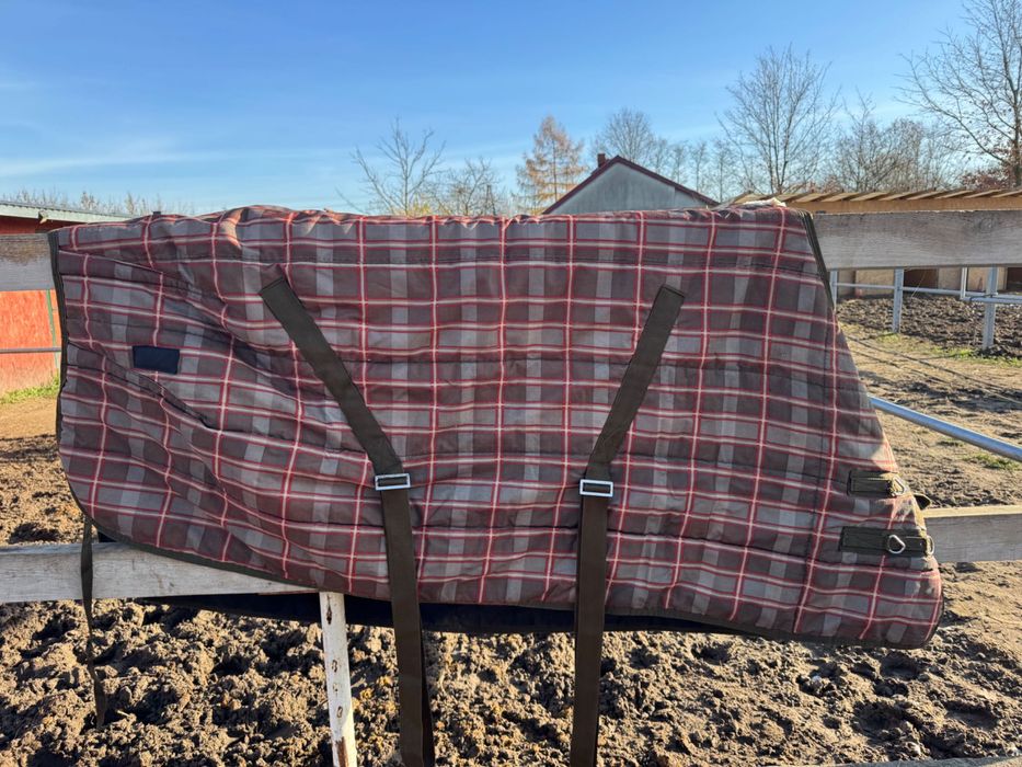 Derka Eskadron w kratę – rozmiar M (135 cm)