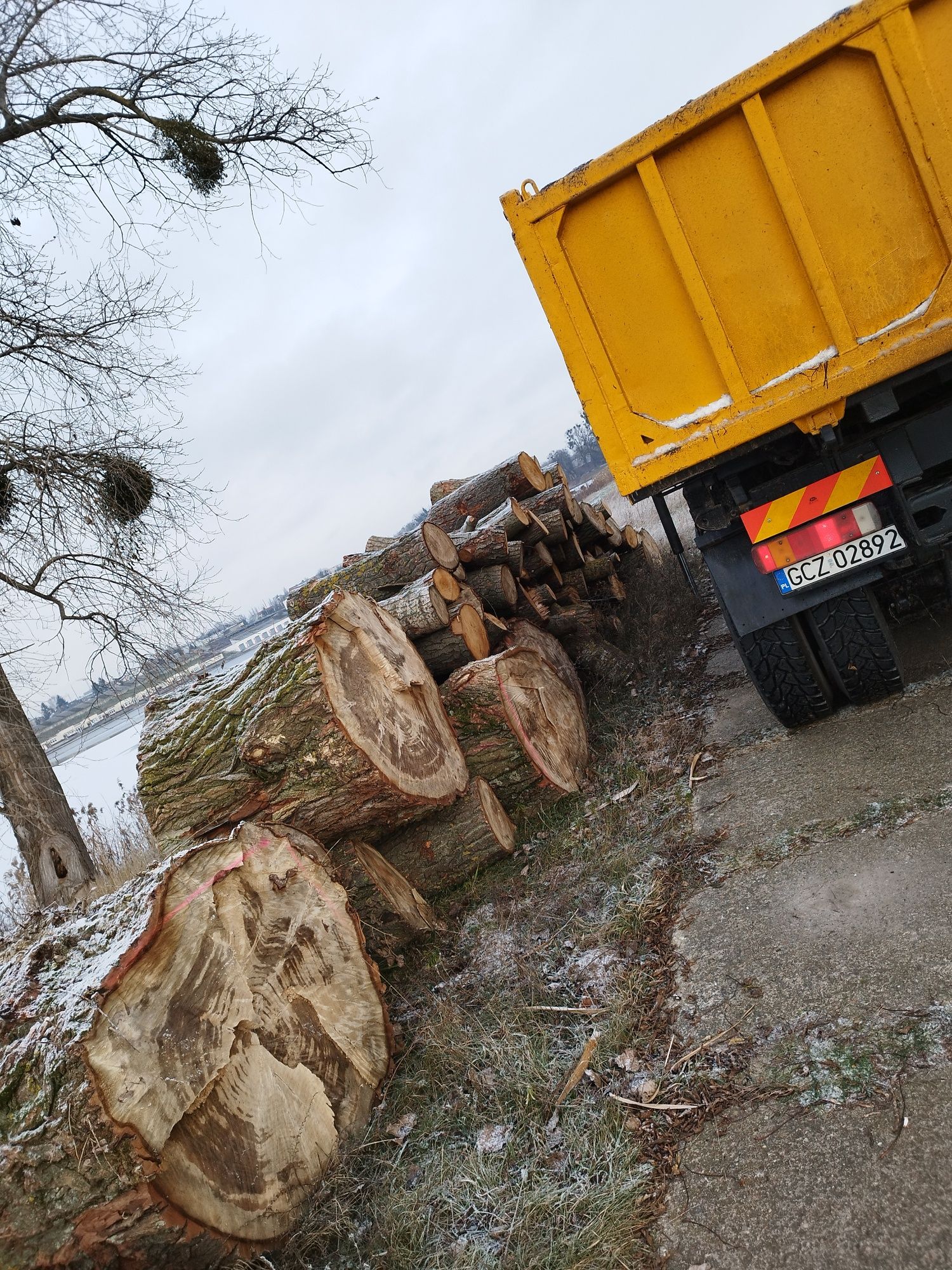 Wycinka drzew cięcie drewna czyszczenie działek