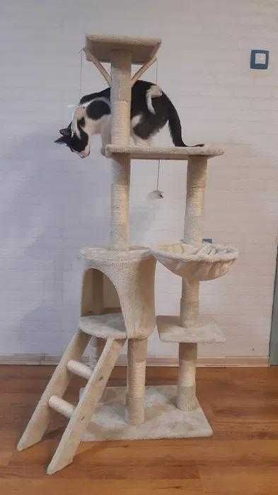 Drapak Dla Kota Beżowy XXL Wysoki Stabilny Z Domkiem Legowiskiem