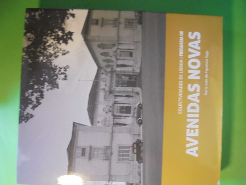 Rego (Maria João de Figueiroa);Avenidas Novas