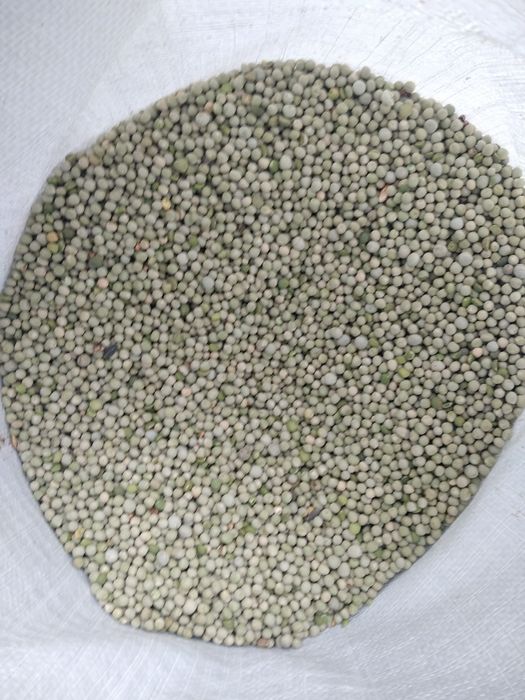 Горох цілий для голубів
