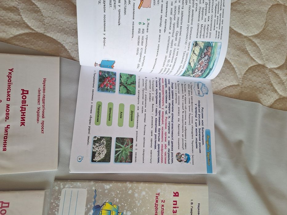 Зошити Інтелект України я пізнаю світ, довідник математика, українська