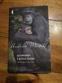 andrew Westoll Szympansy z azylu fauna