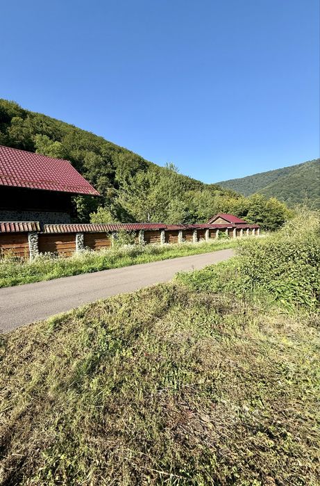 Будинок 290м2, Карпати, м. Свалява