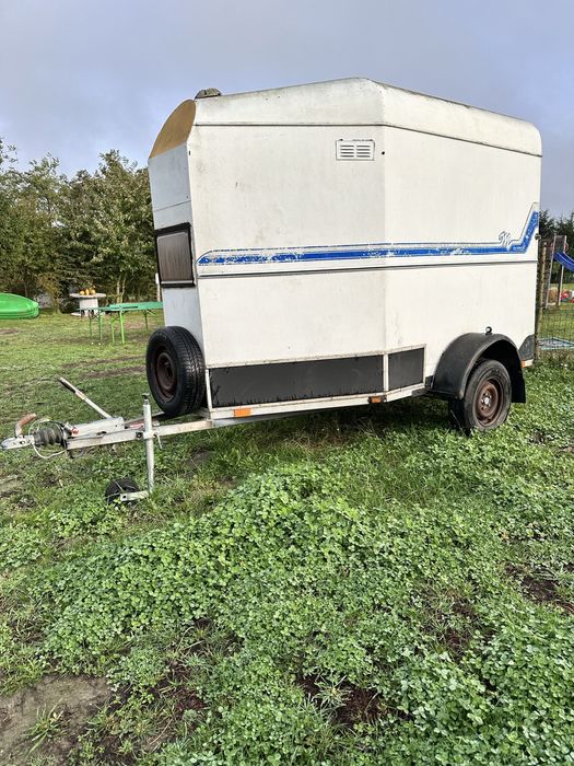 Wynajmę przyczepkę do przewozu zwierząt (na 1,5 konia) – kat. B