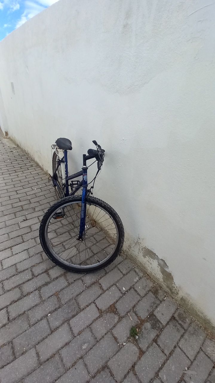 Bicicleta lialsan