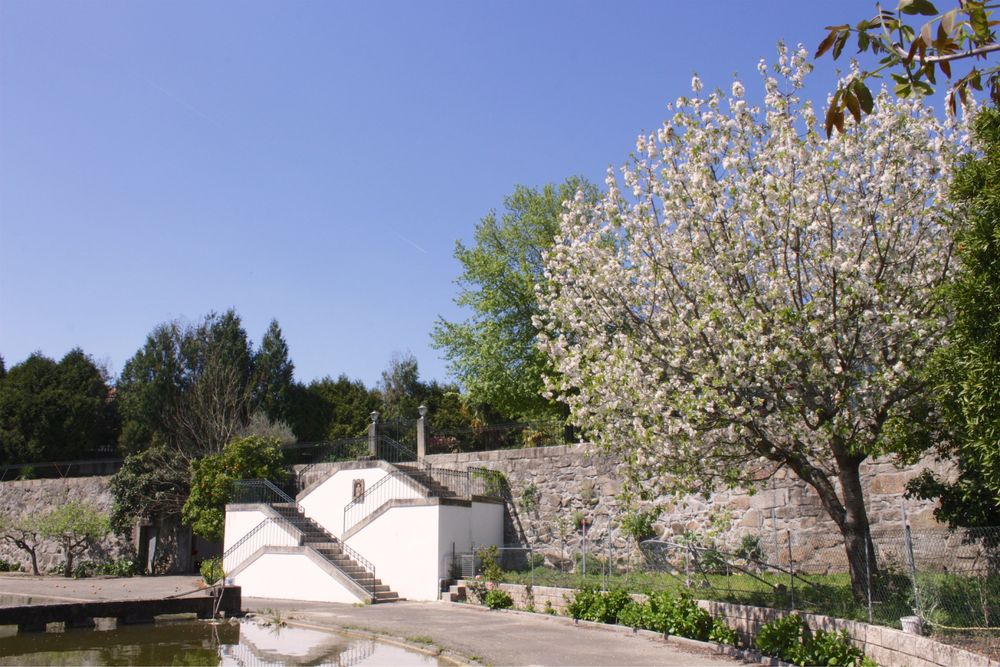 Quinta em Amares