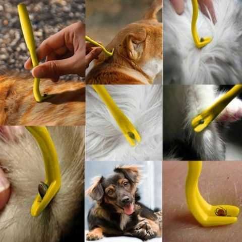 HACZYKI do Wyjmowania USUWANIA KLESZCZY ŁAPKI do Wyciągania kpl. 3 szt