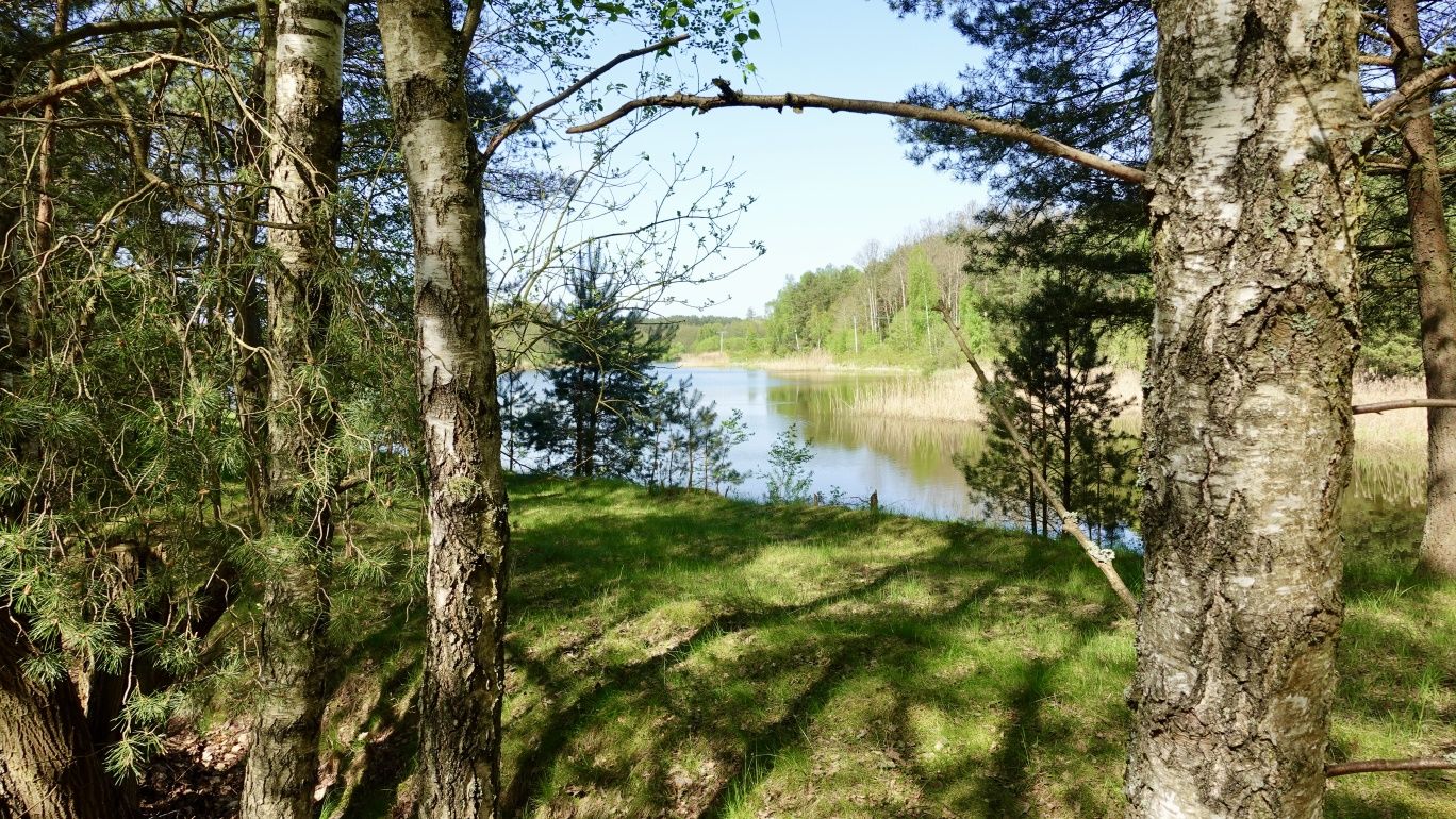 Wynajmę domek  5-6 osobowy na Kaszubach w Bartoszymlesie
