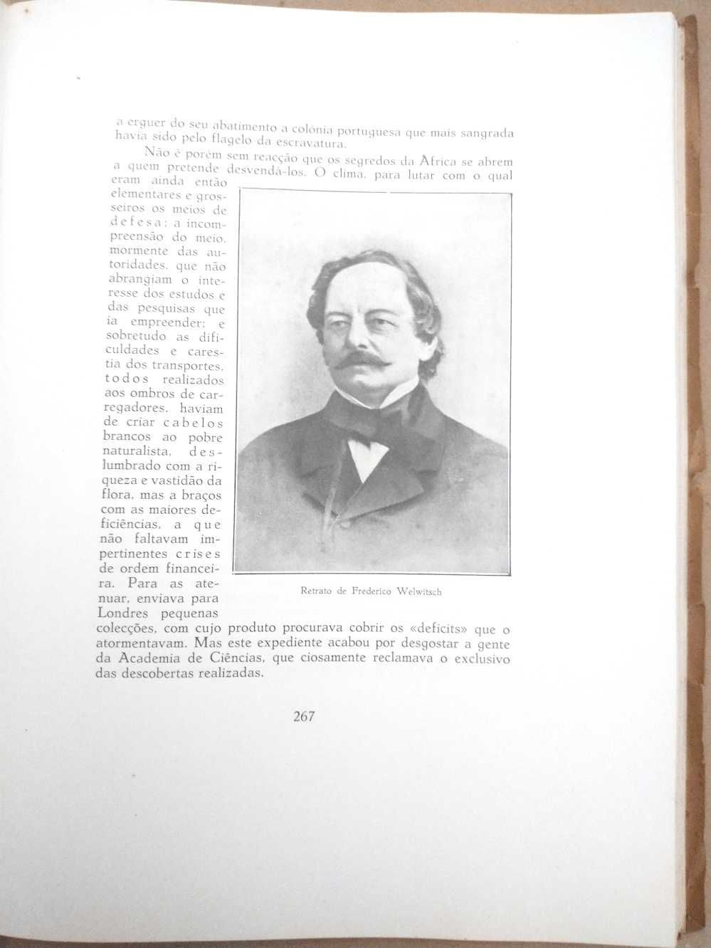 Julgareis qual é mais excelente – Figuras da História Angolana