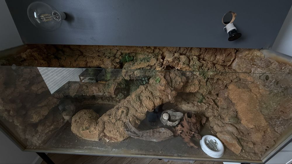 Terrarium duże 154x62x62