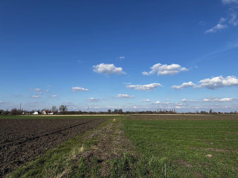 Продам земельну ділянку в с. Коршовець