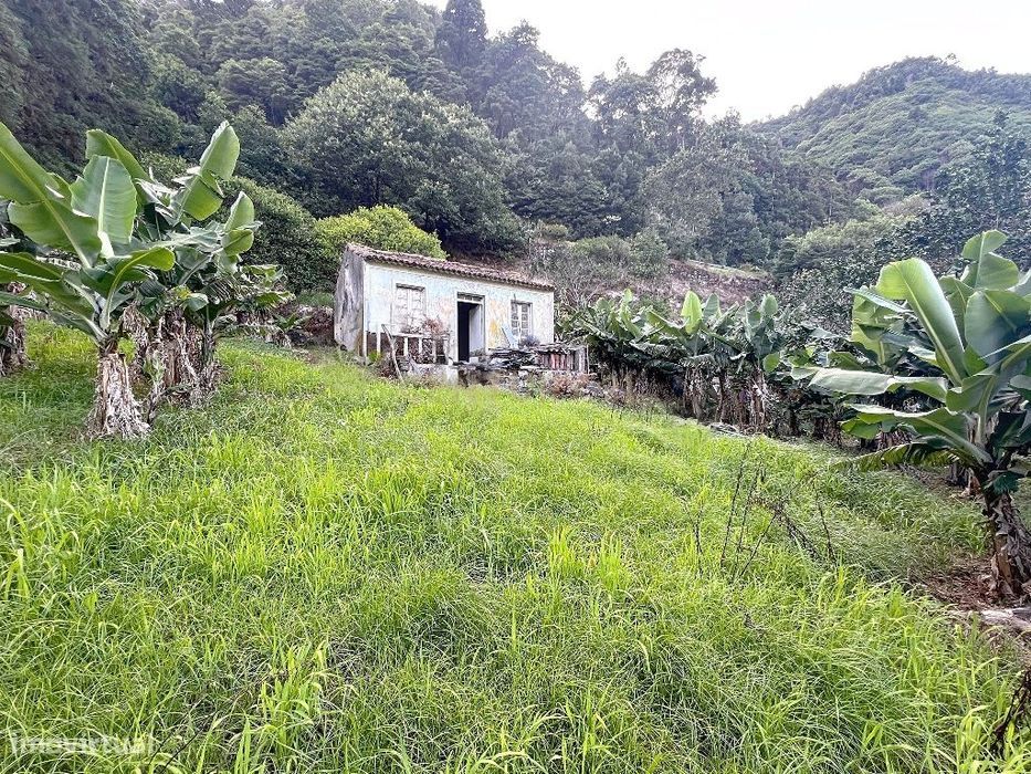Terreno, Faial da Terra
