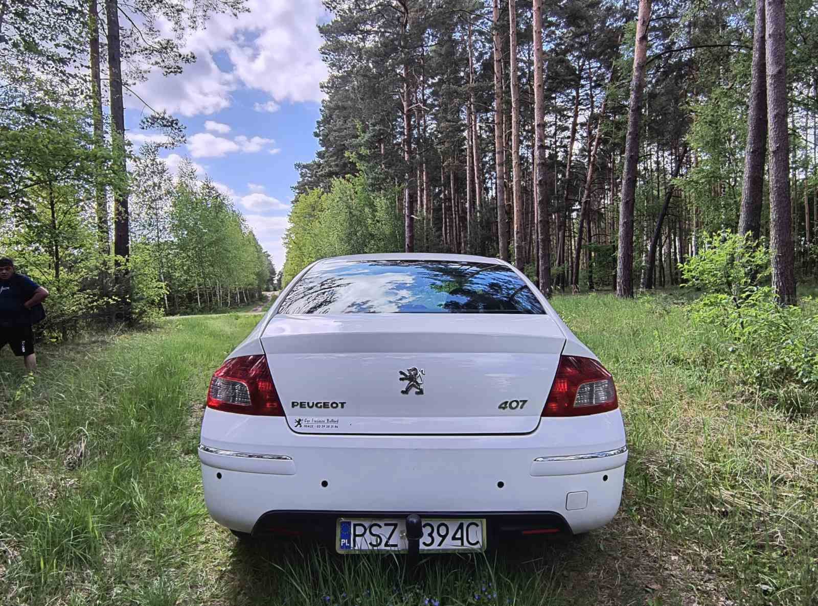 Peugeot 407 sedan, 2009, 1.6 HDI, DISEL, manual