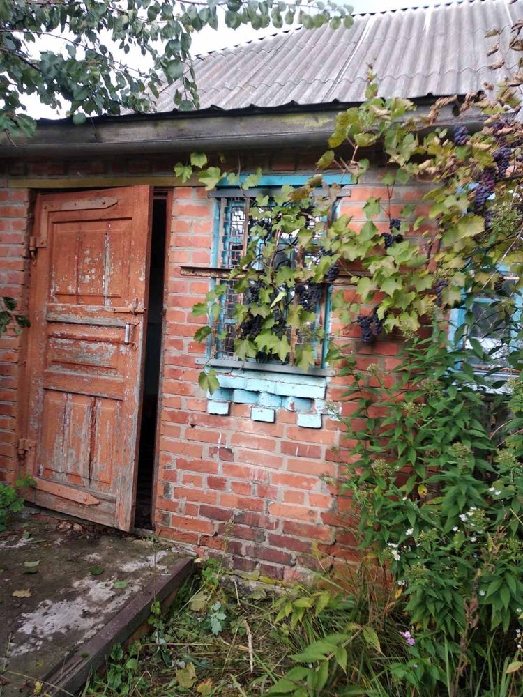 Продам дом в селі Чкаловка Київська область