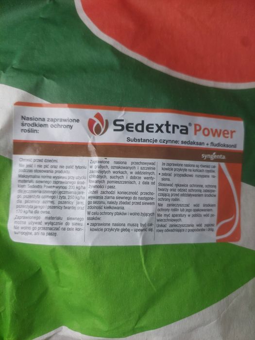 Pszenica oścista ozima apexus
