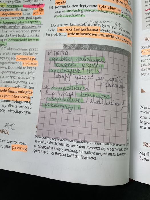 Histologia Maciej Zabel