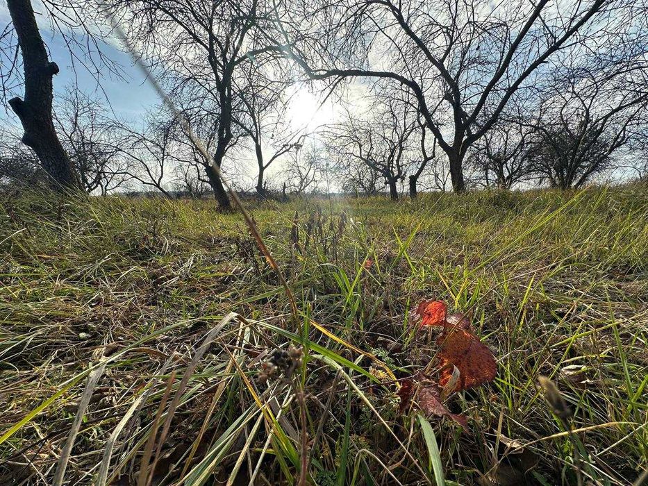 Продаж ділянки 10 соток під забудову. Біля лісу.Зручний під'їзд.ID:728