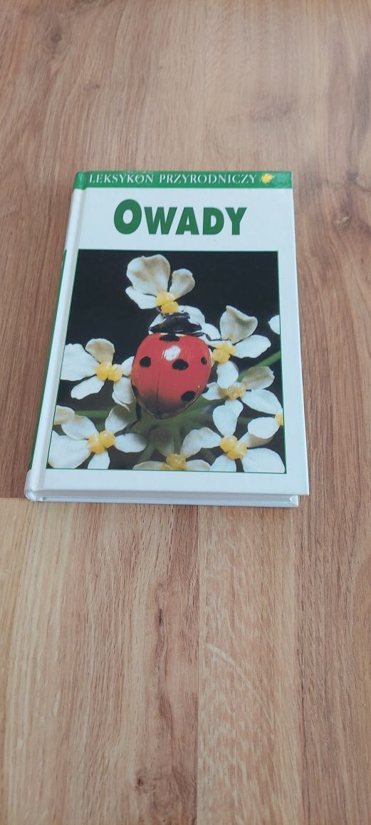 Księga zagadek pytania i odpowiedzi
