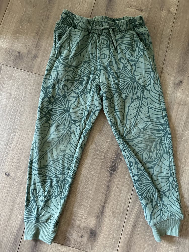 Spodnie zielone