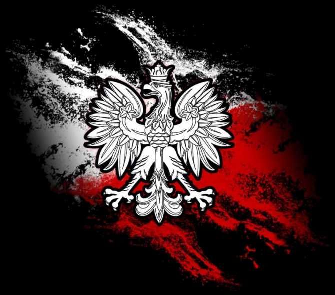 Koszulka Patriotyczna Godło - Orzeł Biały