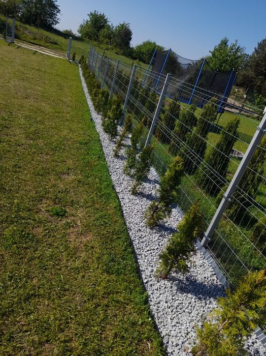 Grys biały granitowy w kropki Dalmatyńczyk frakcje 10-30mm, 20-55mm