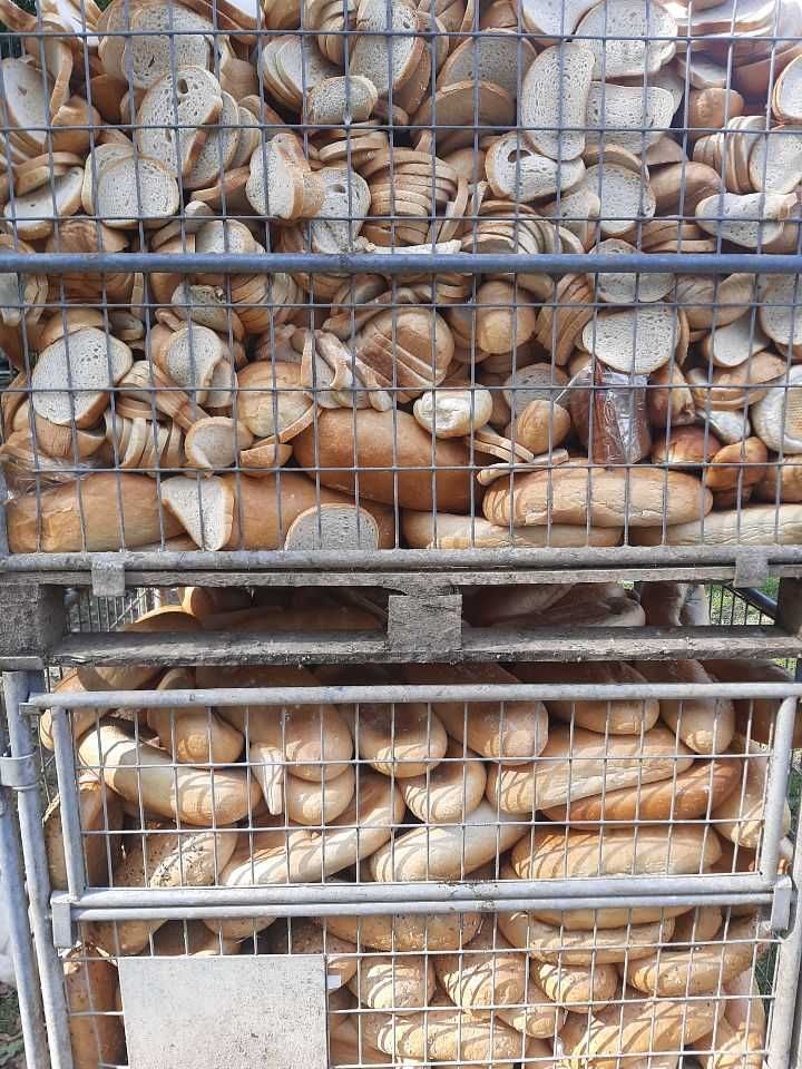 Chleb paszowy worowany lub w paletach