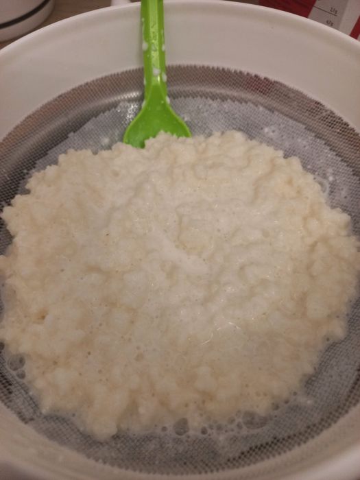 Grzybek tybetański kefirowy