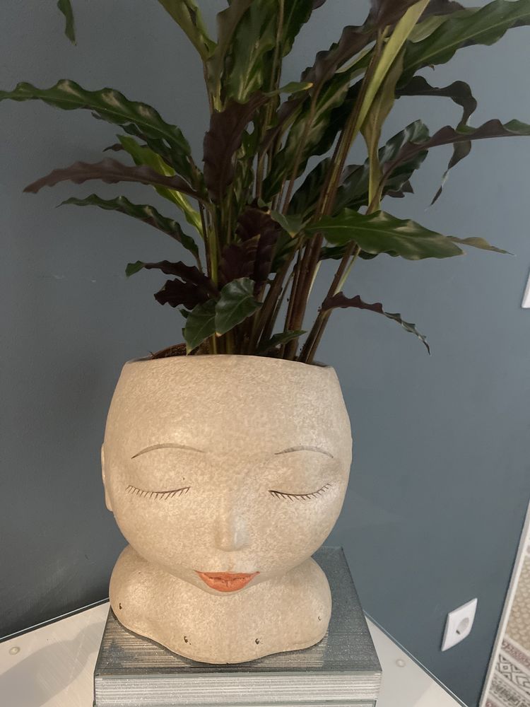 Vaso em formato de cabeca floreira decoracao moderna