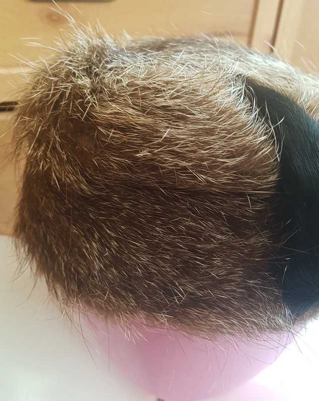Czapka i kołnierz z nutrii
