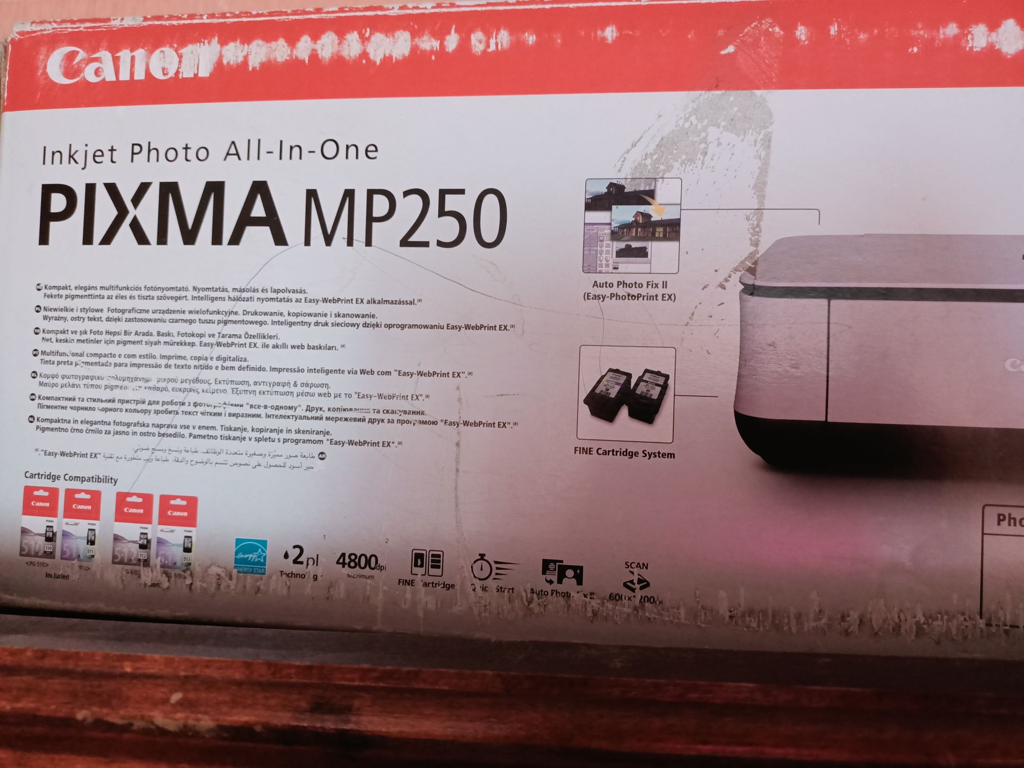 Принтер Canon MP250