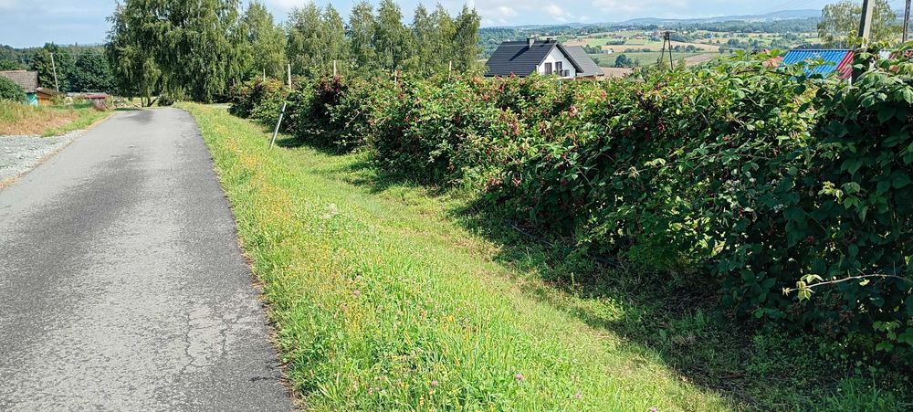 działka budowlana gmina Czchów