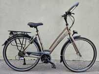 GAZELLE - CHAMONIX T24 Trekking rama 53cm, Alivio