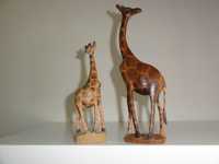 Conjunto de girafas