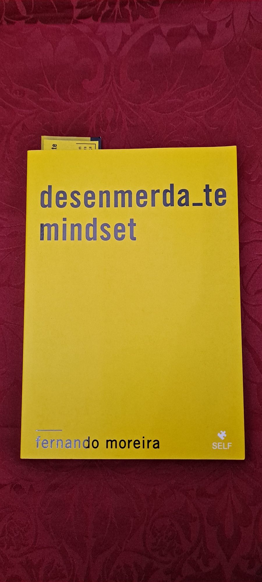 Livro Desenmerda-te Mindset de Fernando Moreira