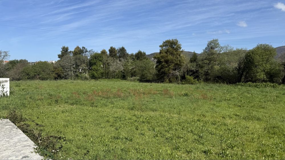 Terreno construção 7650m2 a 5 min da Praia de Ancora
