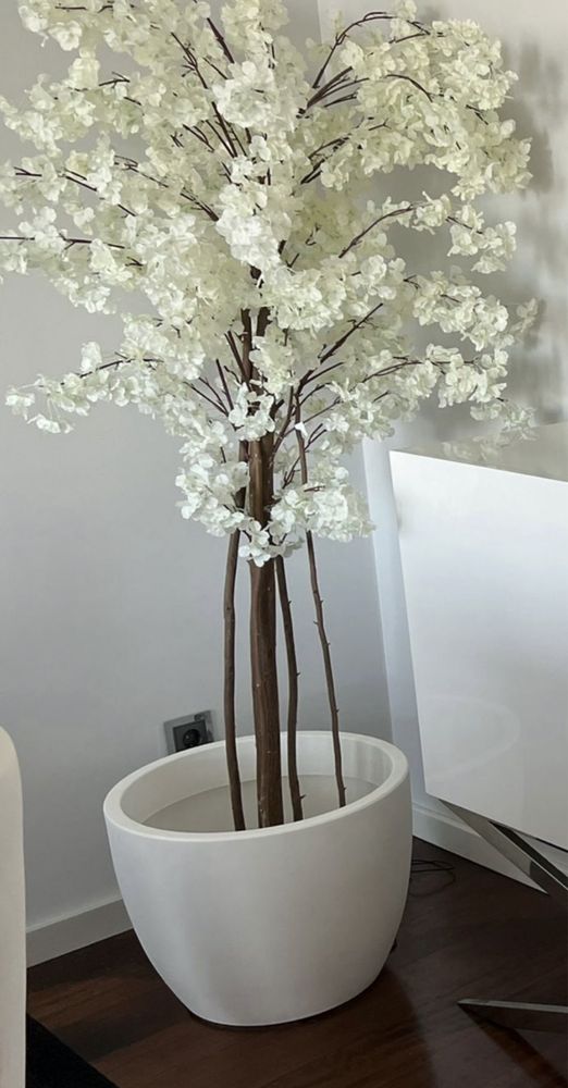 Vaso + planta linda