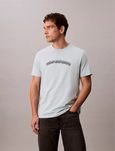 Футболка чоловіча Calvin Klein S,M,L оригінал