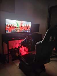 Playseat SimRacing + Volante