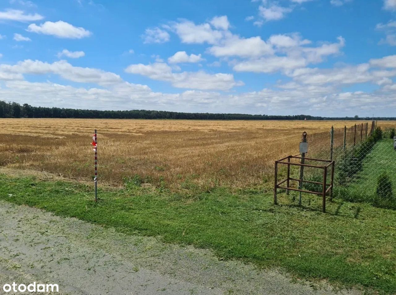 Działka na sprzedaż | WZ | blisko S5, koło Stęszew