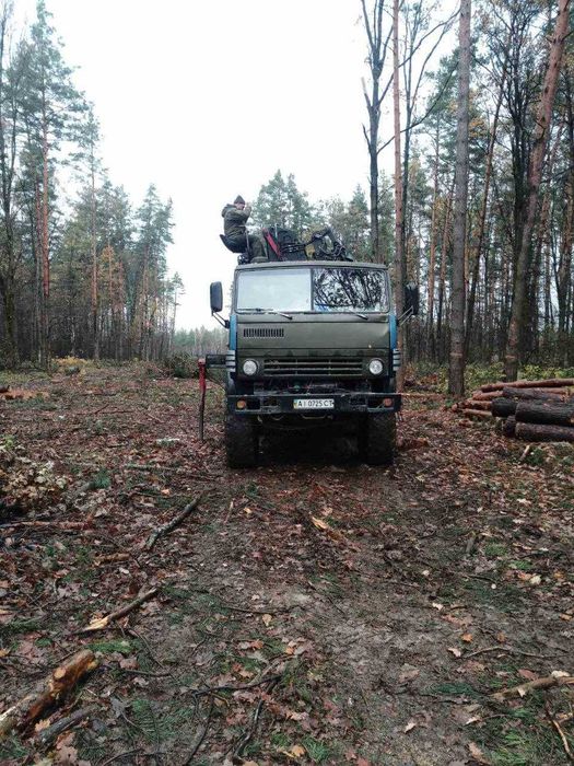 Камаз 4310 лісовоз