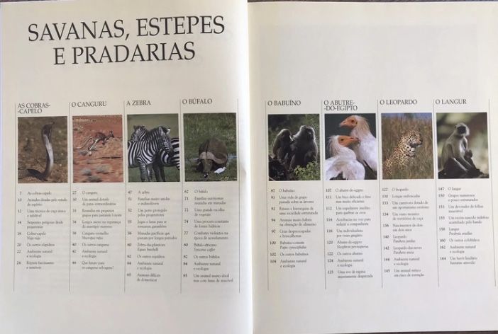 Animais das savanas, estepes e pradarias