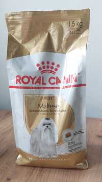 Karma sucha Royal Canin Maltese